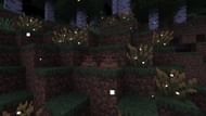 Many blocks have received modifications to their behavior in the Minecraft snapshot 25w06a (Image via Mojang Studios)